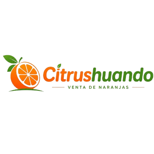 My Blog